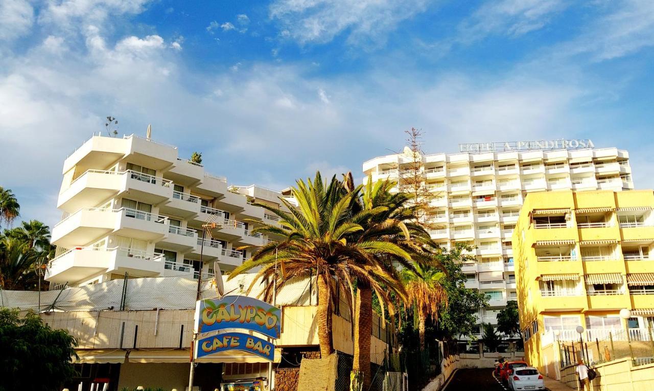 Ferienwohnung Under The Palm Playa de las Américas Exterior foto