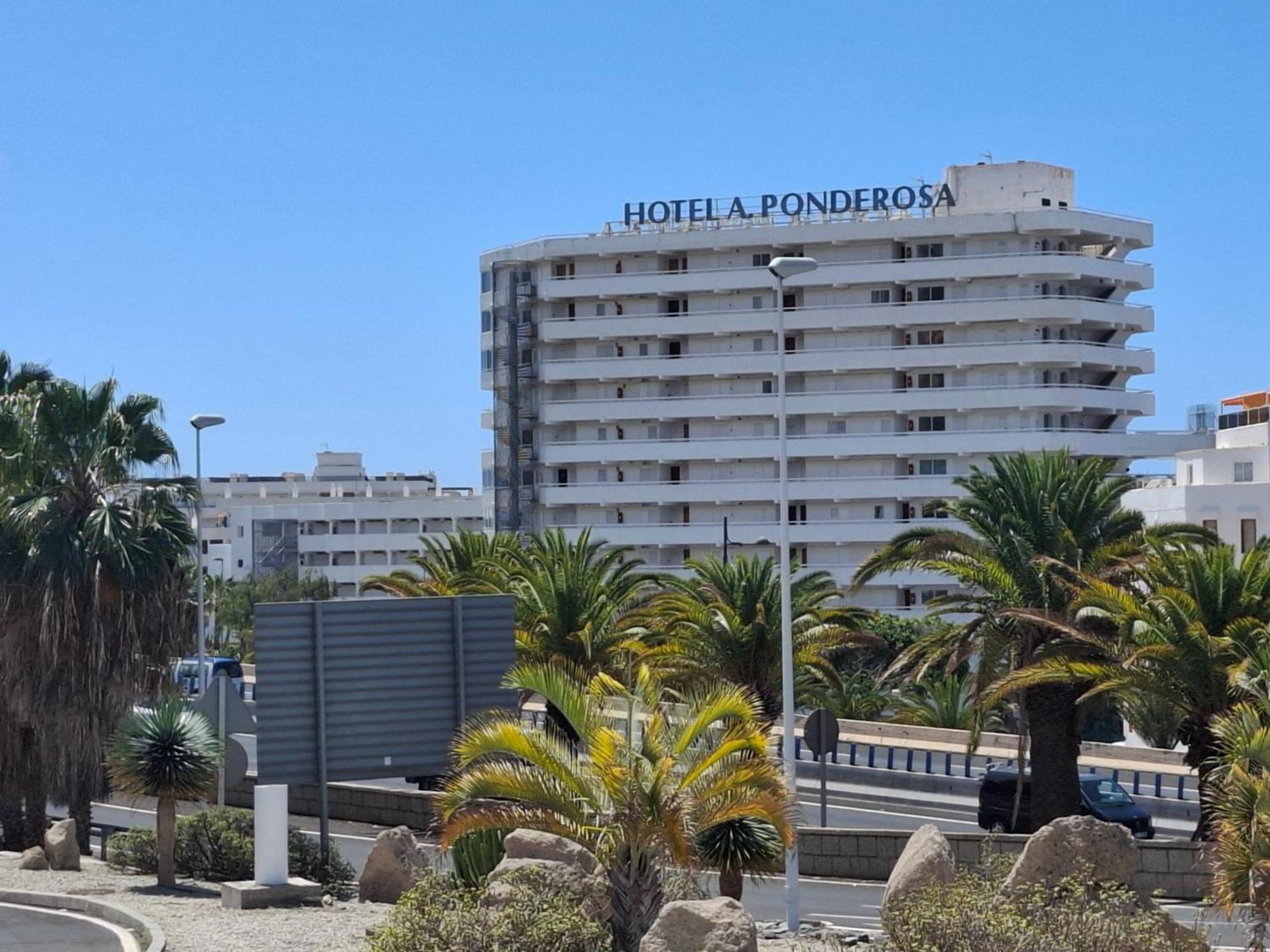 Ferienwohnung Under The Palm Playa de las Américas Exterior foto